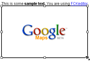 preview in the editor